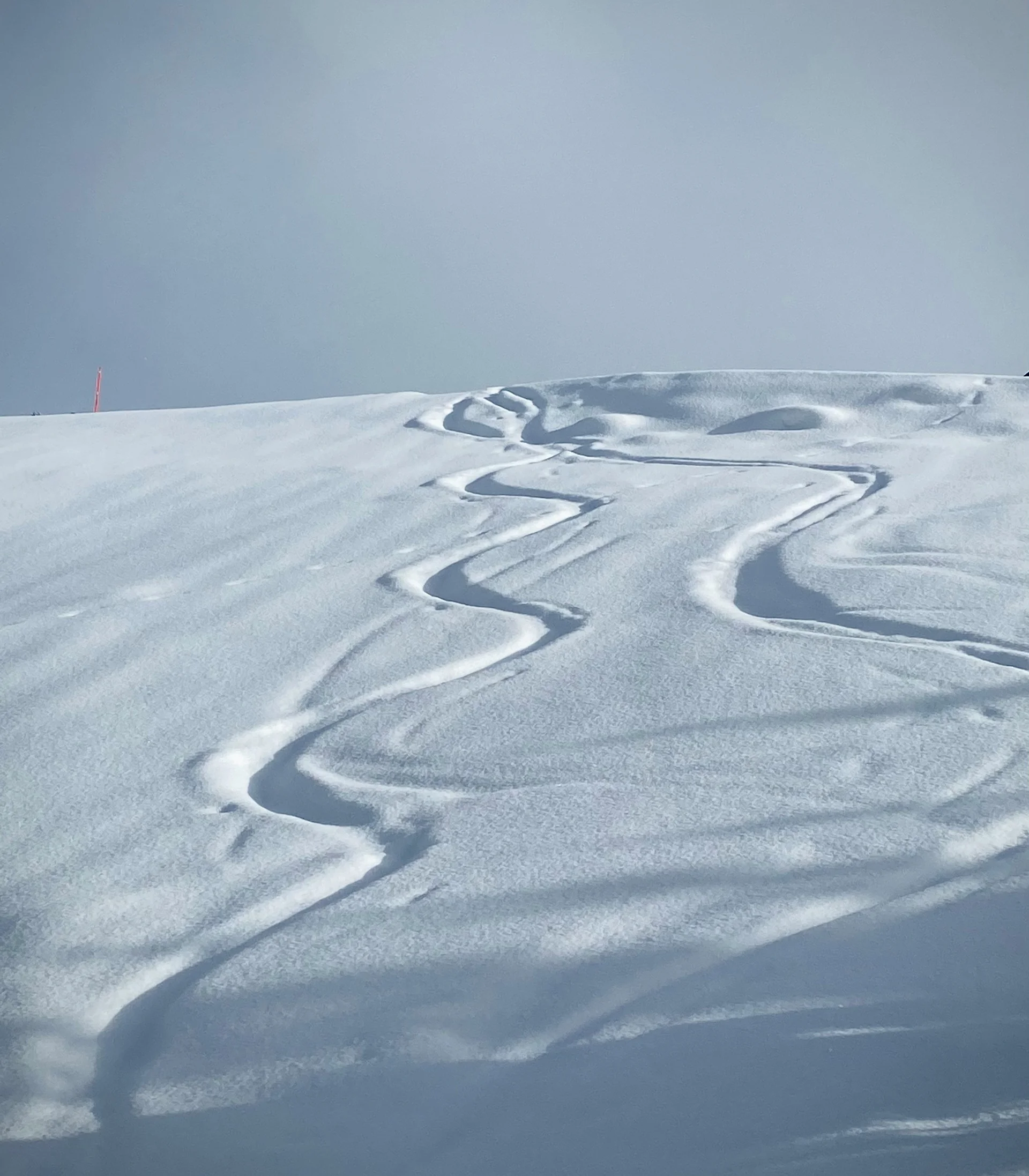 Skispuren ziehen sich durch frisch verschneites Gelände unter wolkenlosem Himmel